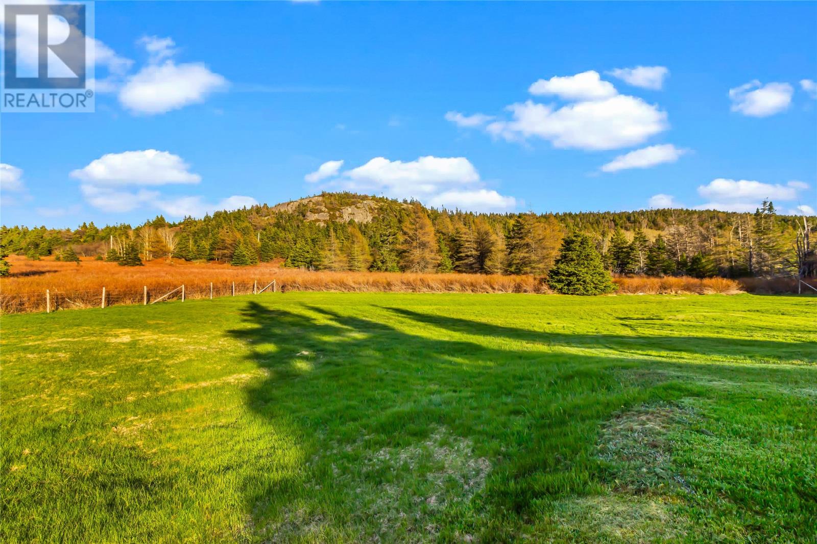 9 Gushue's Road Property Photo 39