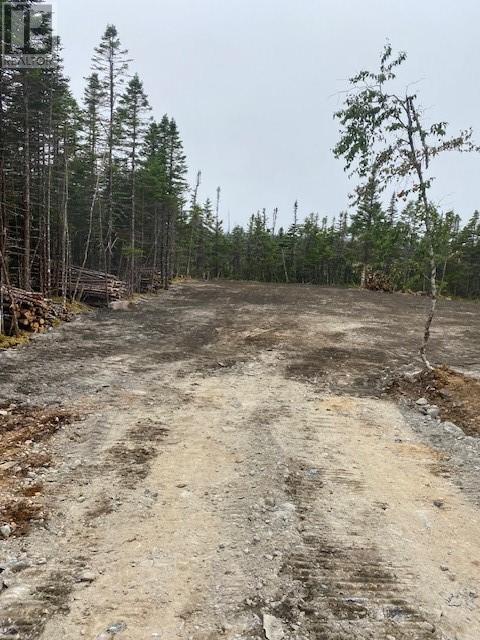 154 Prison Camp Road Property Photo 3
