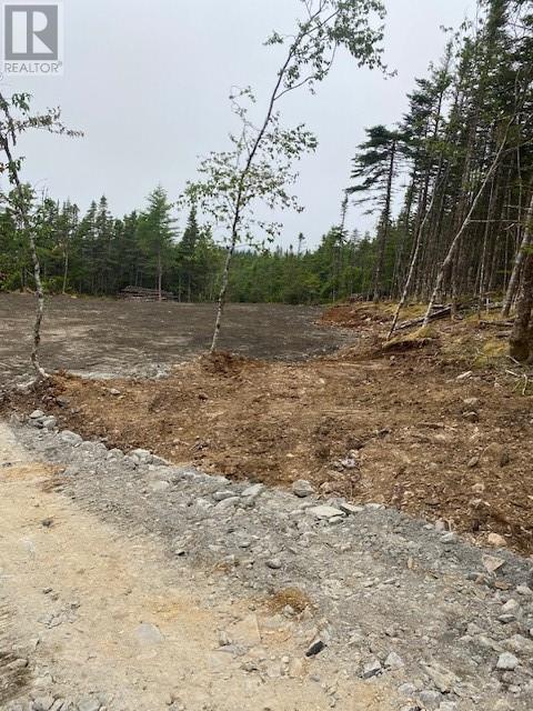 154 Prison Camp Road Property Photo 4