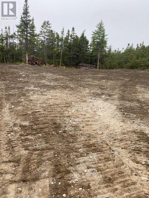 154 Prison Camp Road Property Photo 5