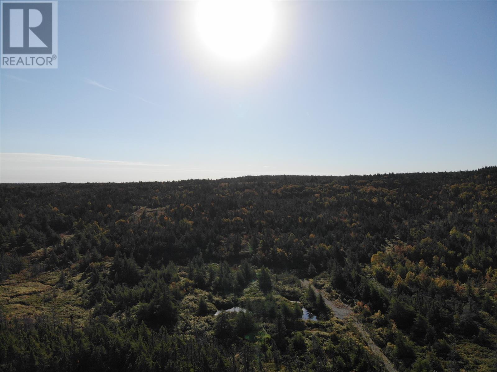 800a Country Road Property Photo 3