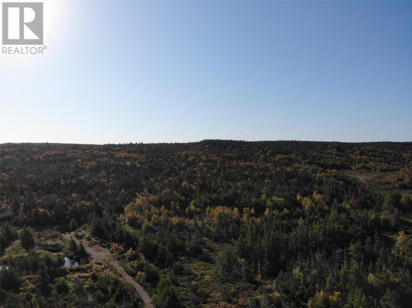 800a Country Road Property Photo 6