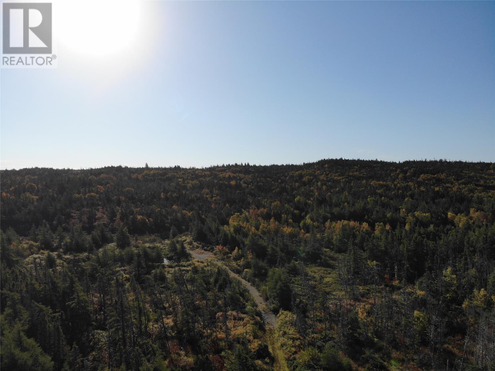 800a Country Road Property Photo 8