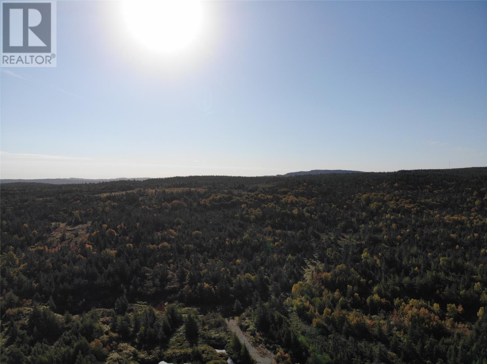 800a Country Road Property Photo 10
