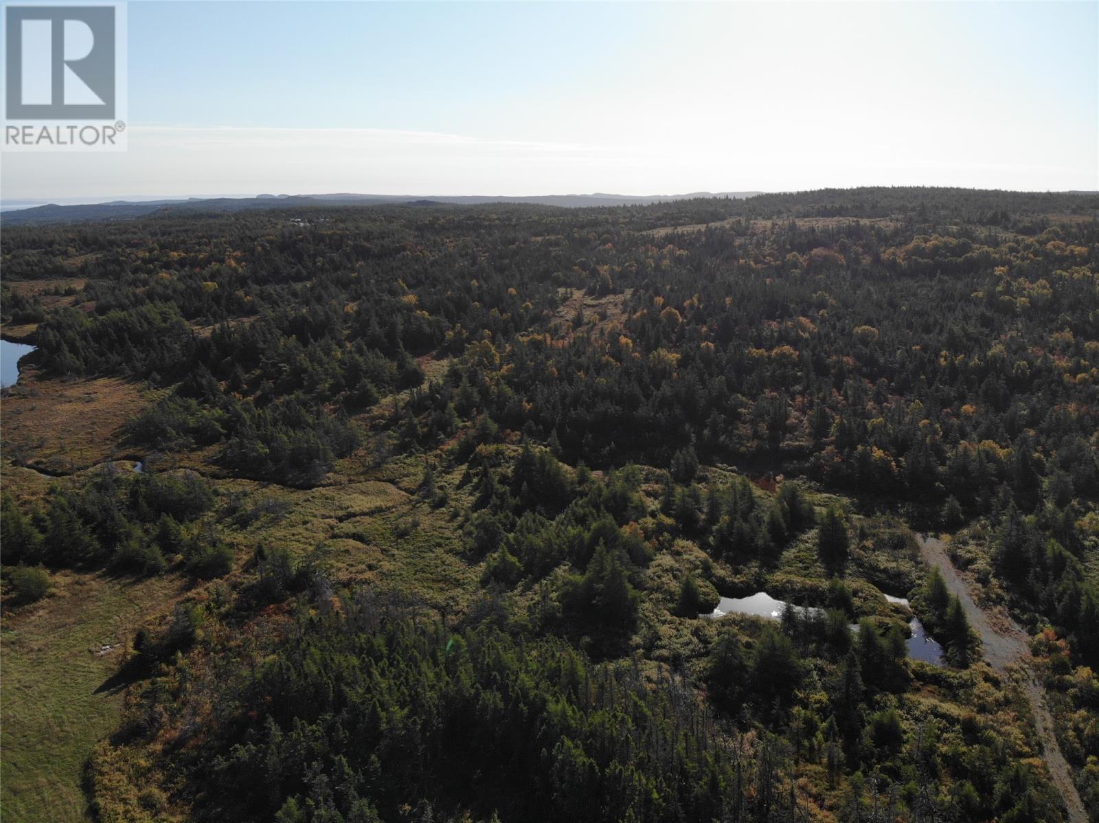800a Country Road Property Photo 12