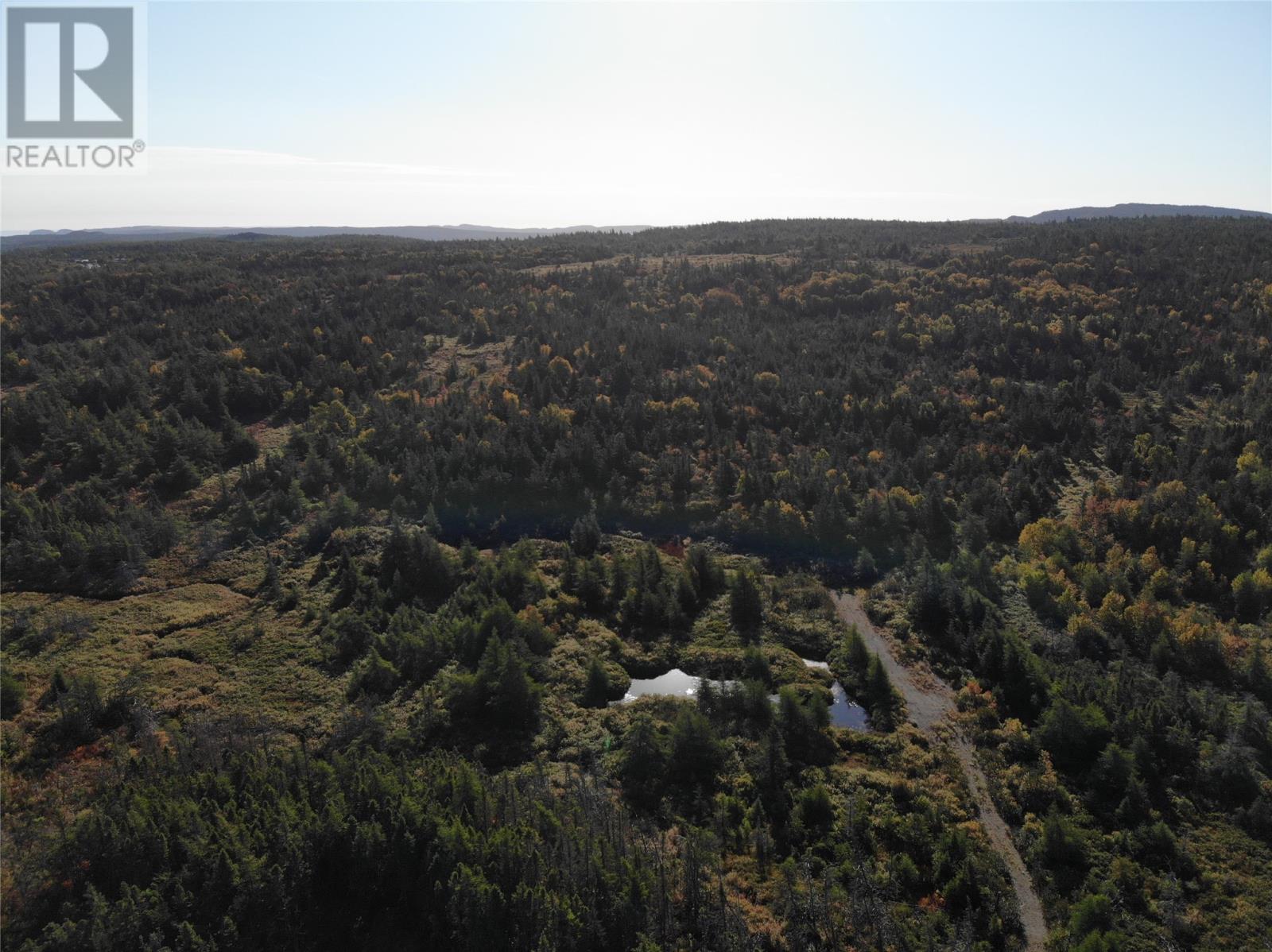 800a Country Road Property Photo 15