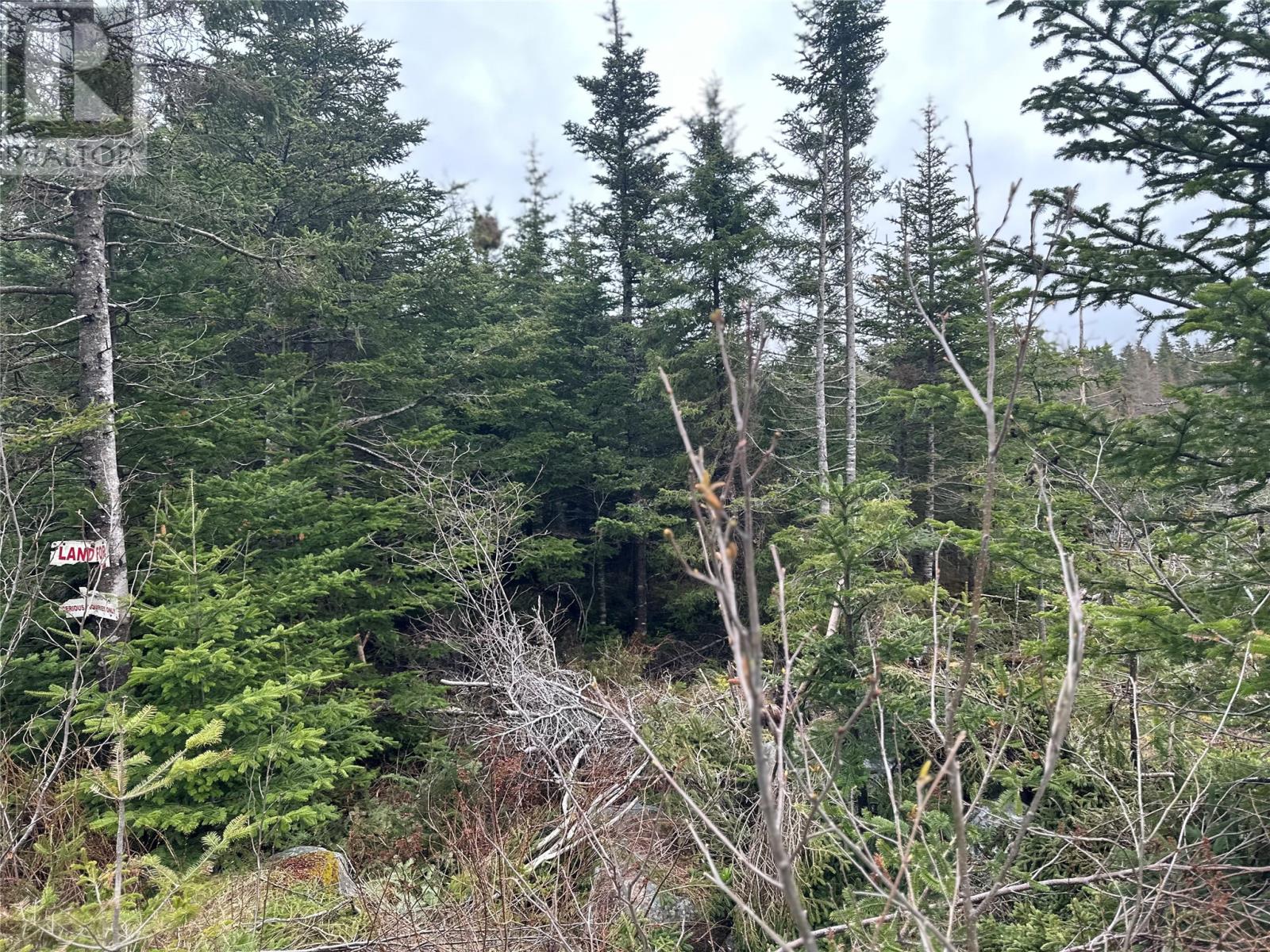 54 Ridge Road Property Photo 6