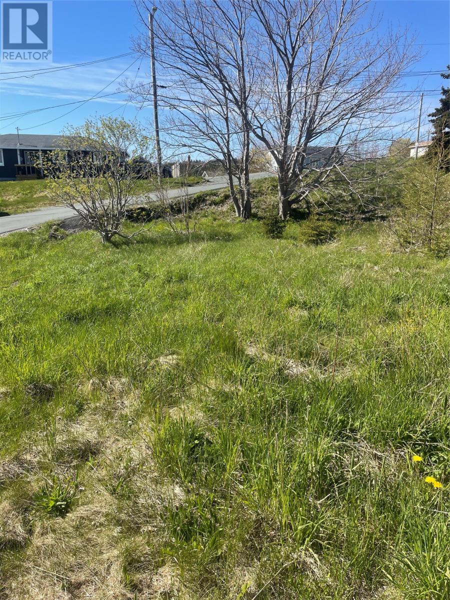 2 Moore's Valley Road Property Photo 3