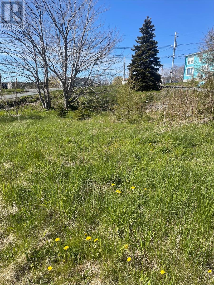 2 Moore's Valley Road Property Photo 4