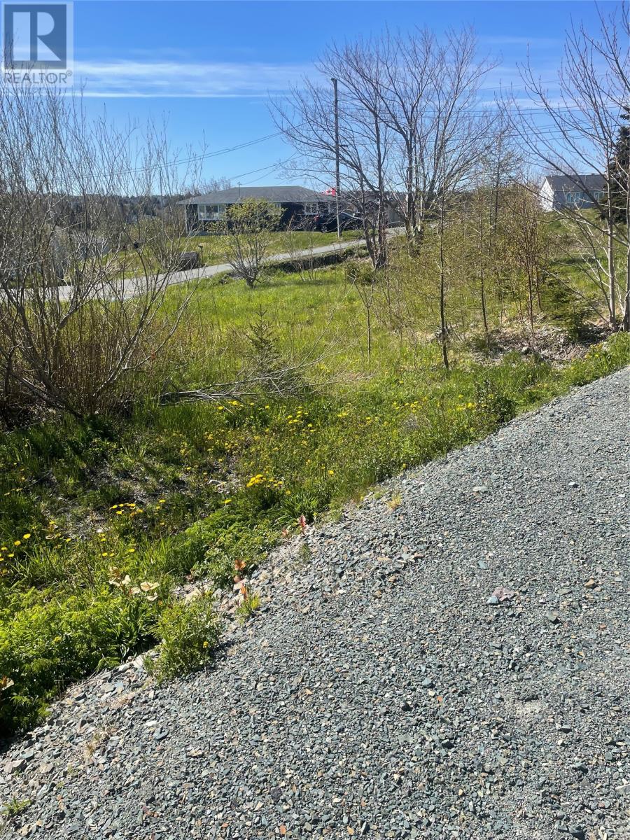 2 Moore's Valley Road Property Photo 6