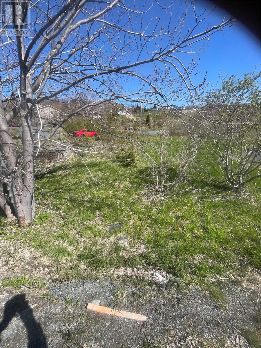 2 Moore's Valley Road Property Photo 8