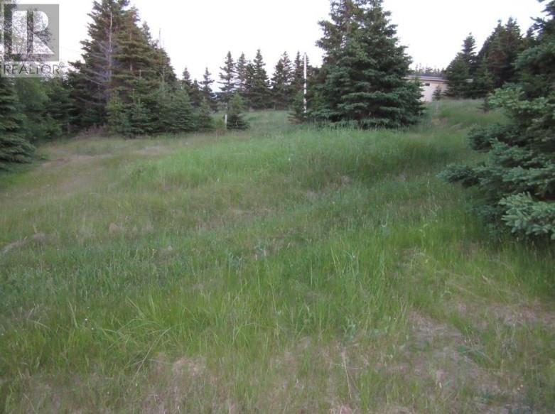 157 West Side Road Property Photo 3