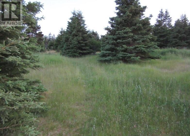 157 West Side Road Property Photo 4