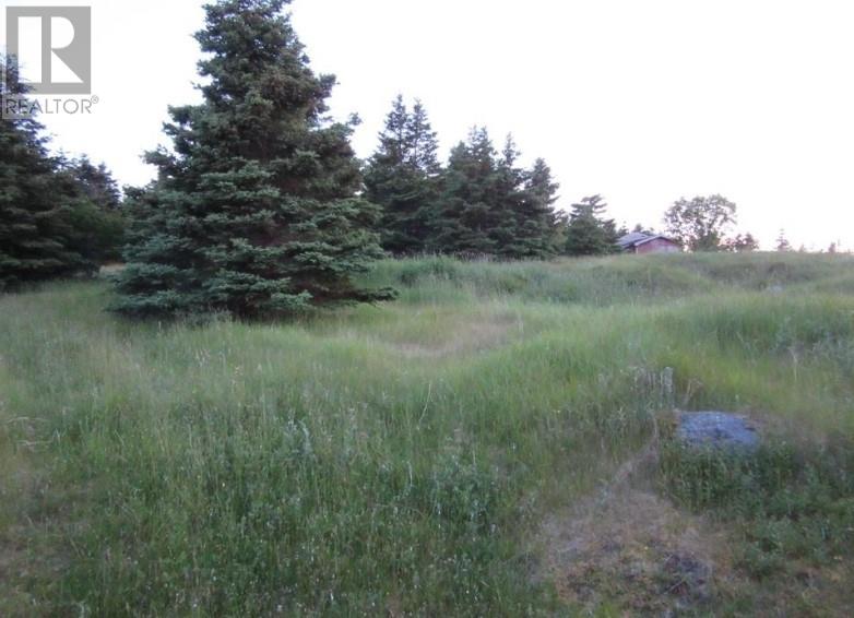 157 West Side Road Property Photo 5