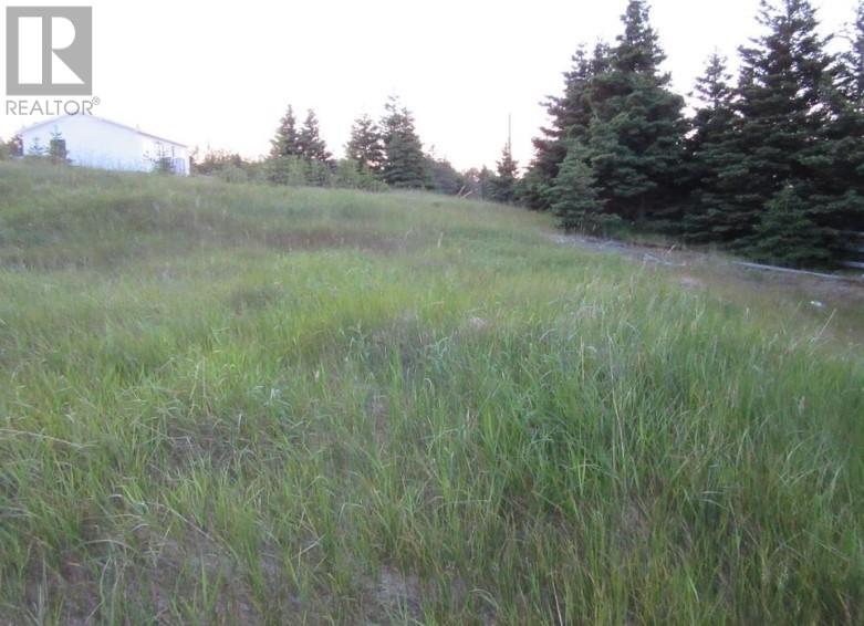 157 West Side Road Property Photo 6