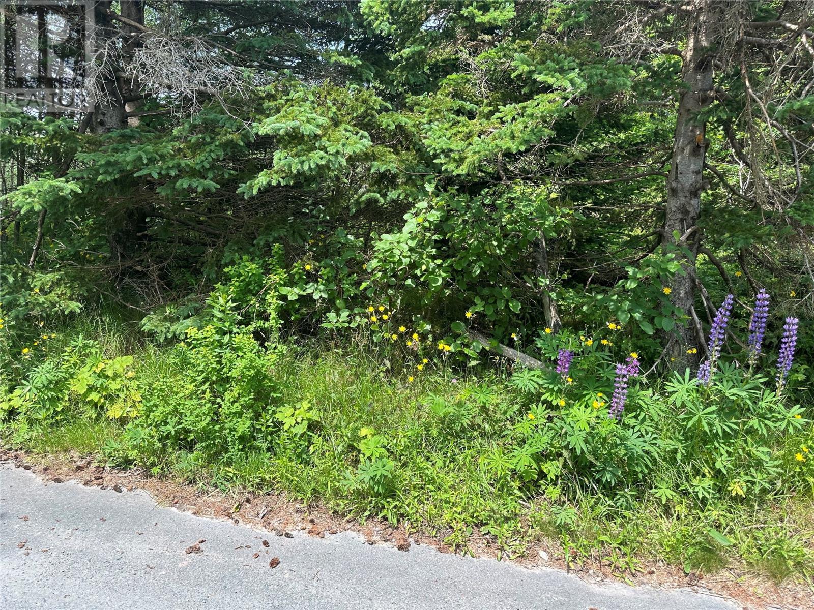 16 Ridge Road Property Photo 19