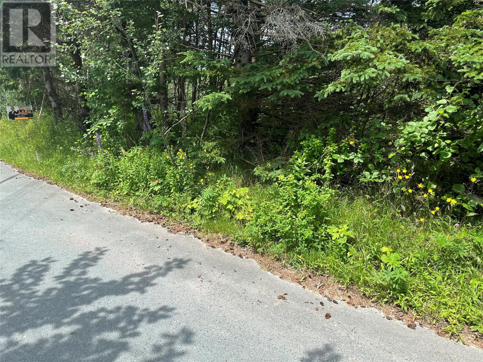 16 Ridge Road Property Photo 20