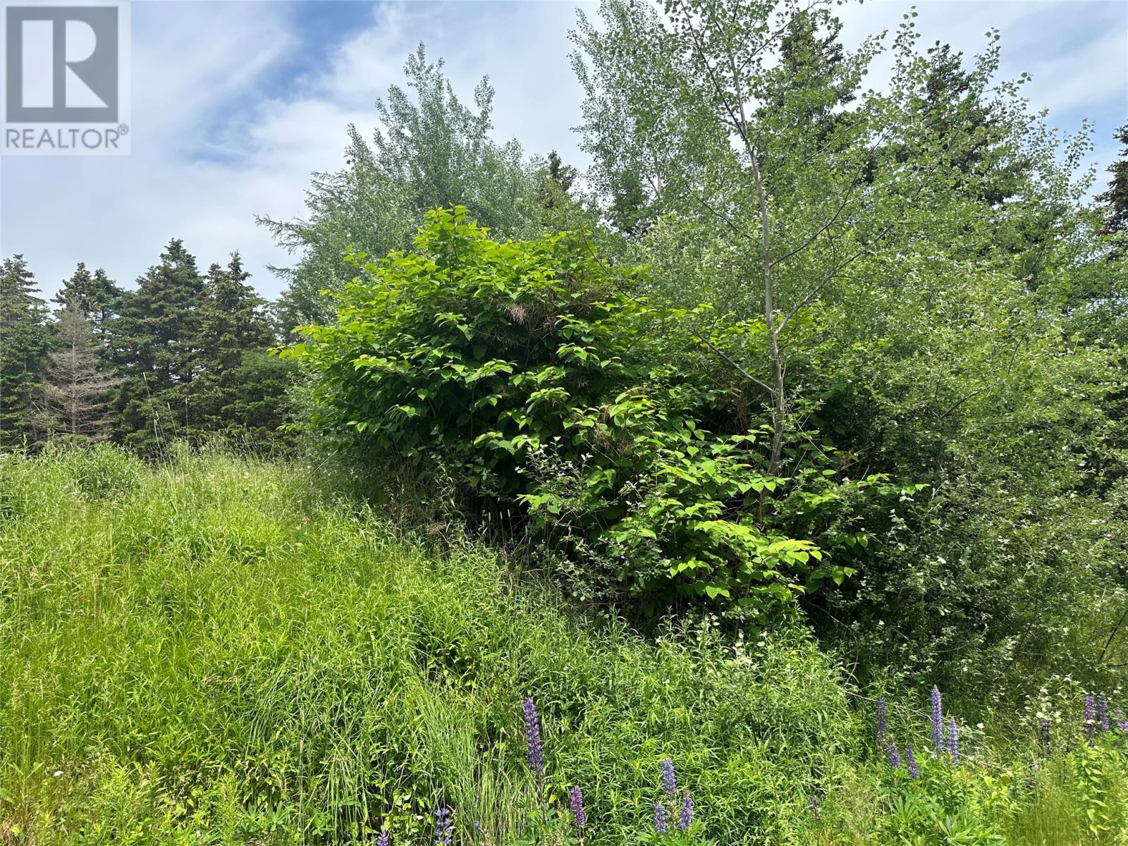 16 Ridge Road Property Photo 22