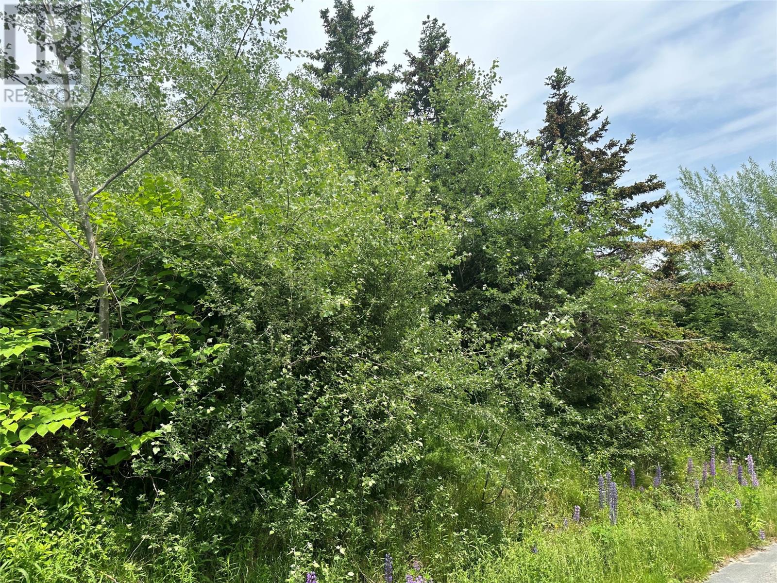 16 Ridge Road Property Photo 25