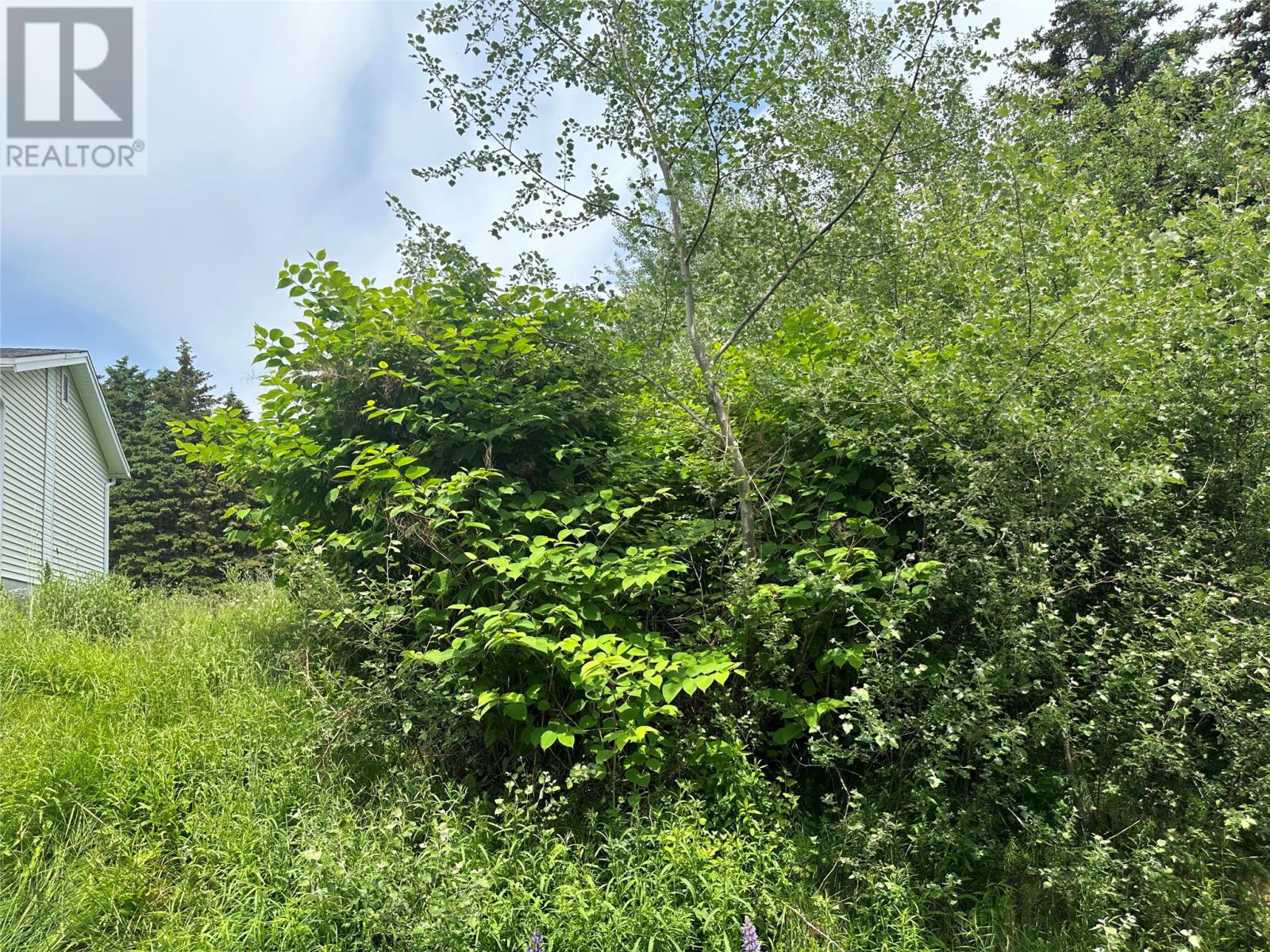 16 Ridge Road Property Photo 26