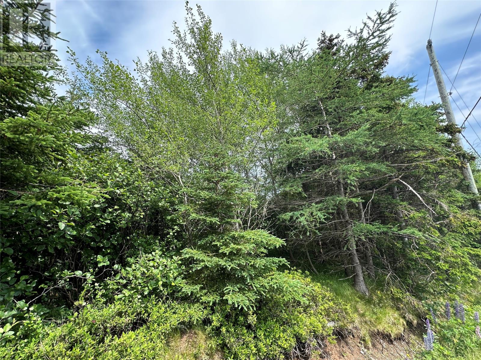 16 Ridge Road Property Photo 40