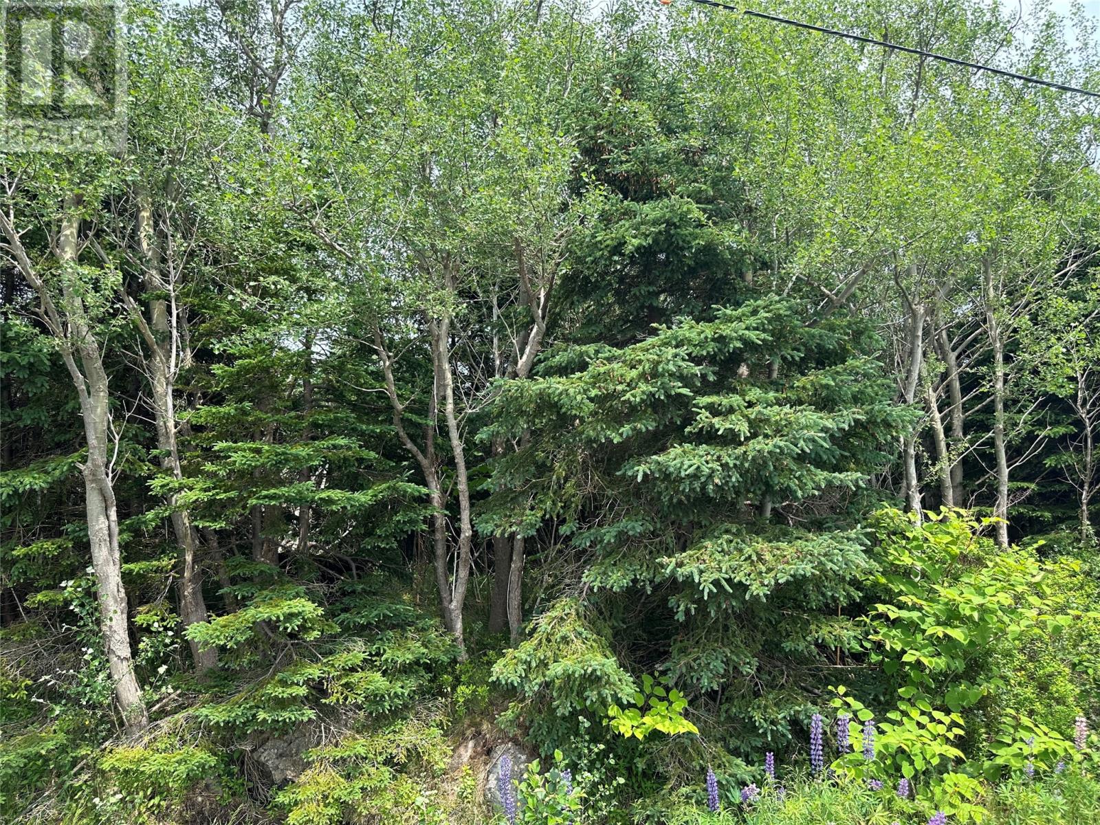 16 Ridge Road Property Photo 46