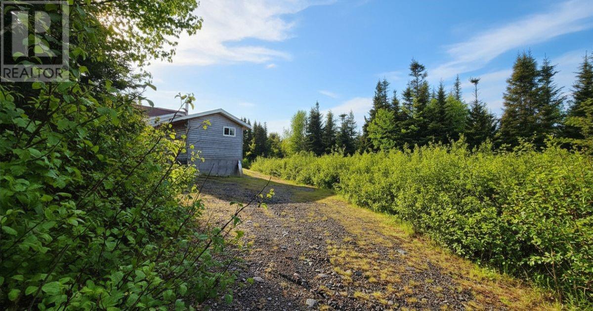 17 Lewisporte South Side Resource Road Property Photo 20
