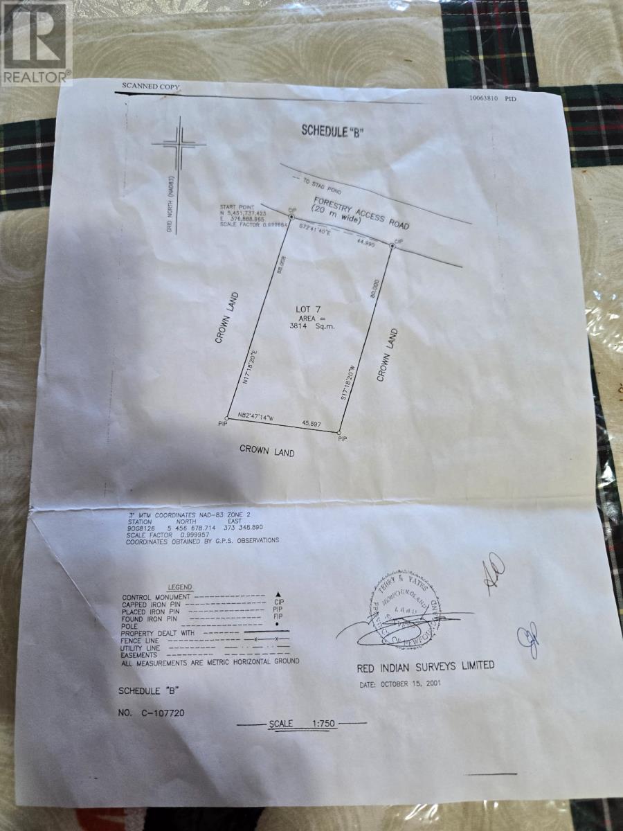 17 Lewisporte South Side Resource Road Property Photo 25