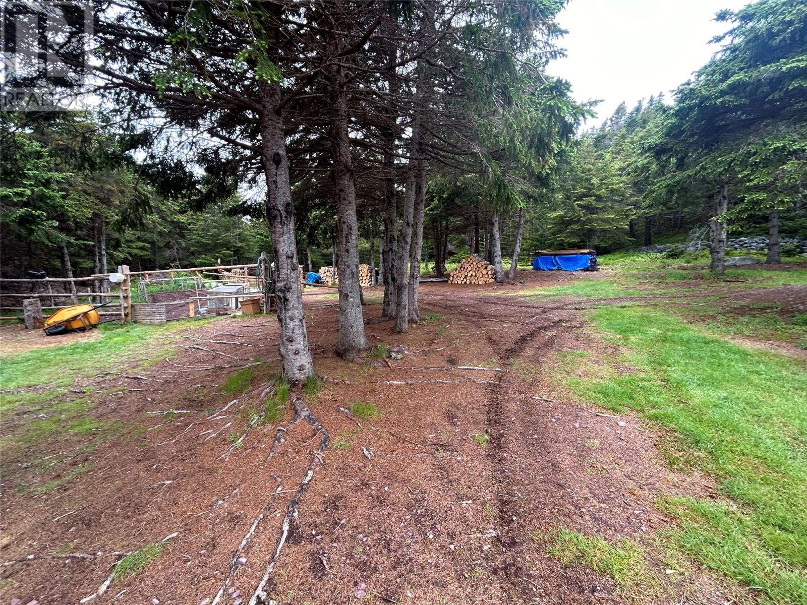10 Long Shore Road Property Photo 34
