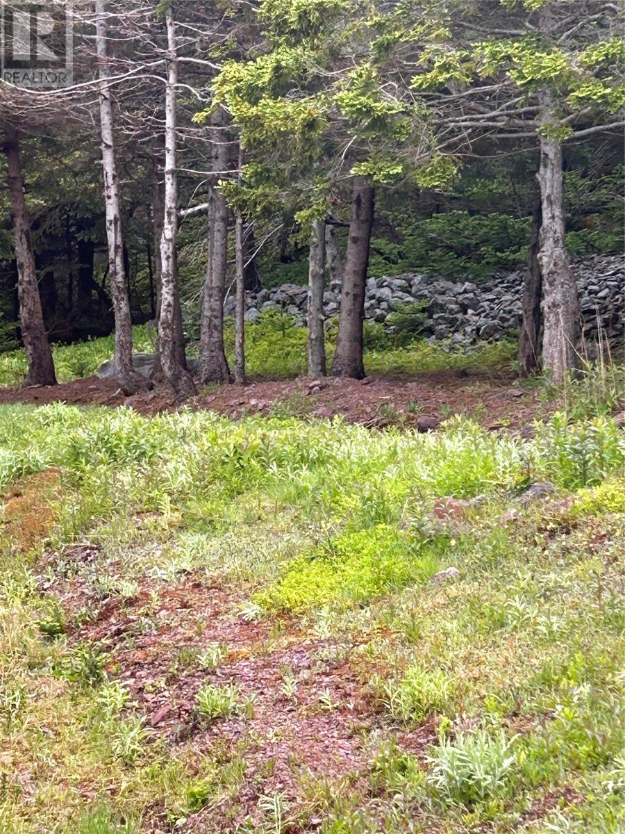 10 Long Shore Road Property Photo 35