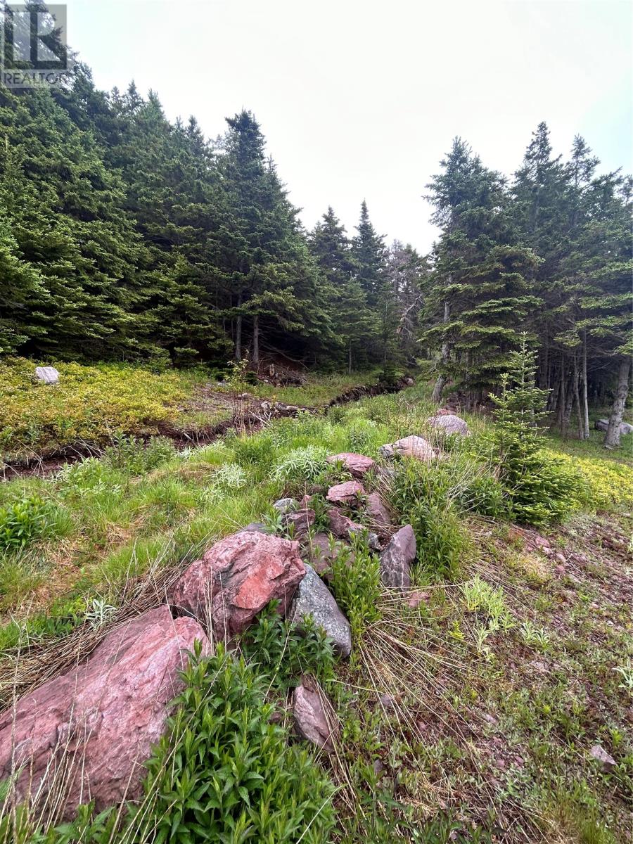 10 Long Shore Road Property Photo 36