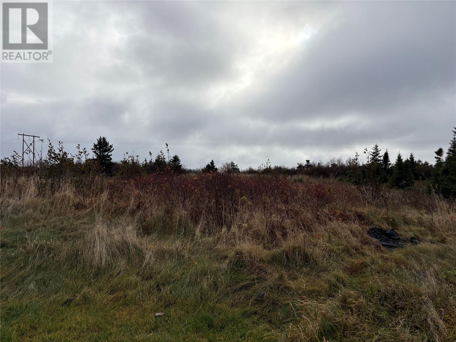 299 Main Road Property Photo 4