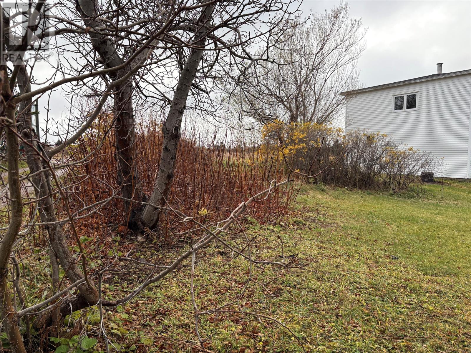 299 Main Road Property Photo 7