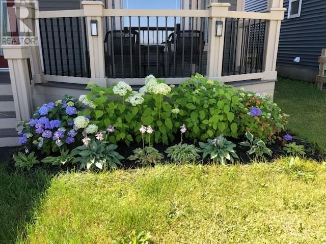 111 Cheeseman Drive Property Photo 45