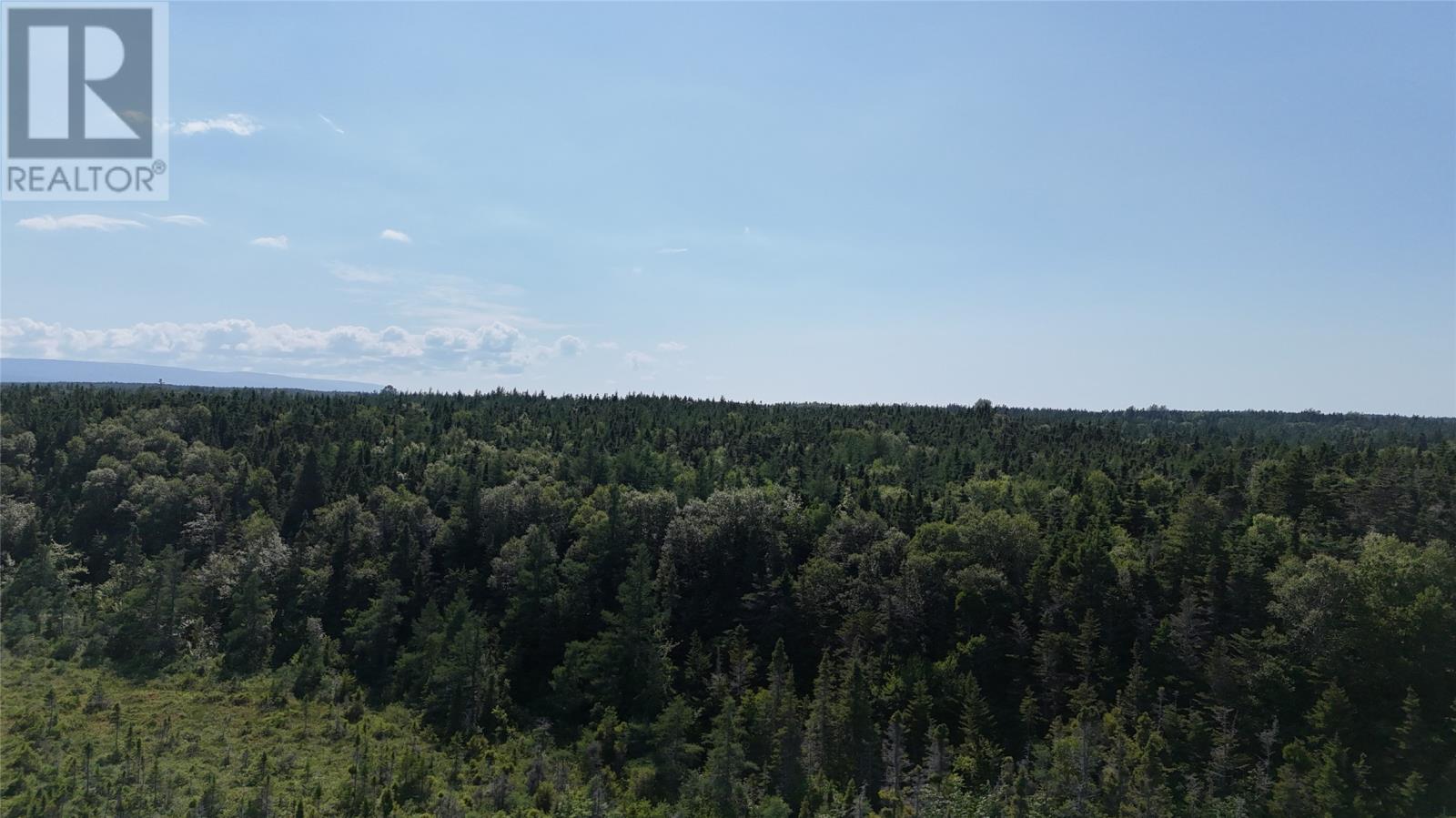0 Crabbs River Road Property Photo 8