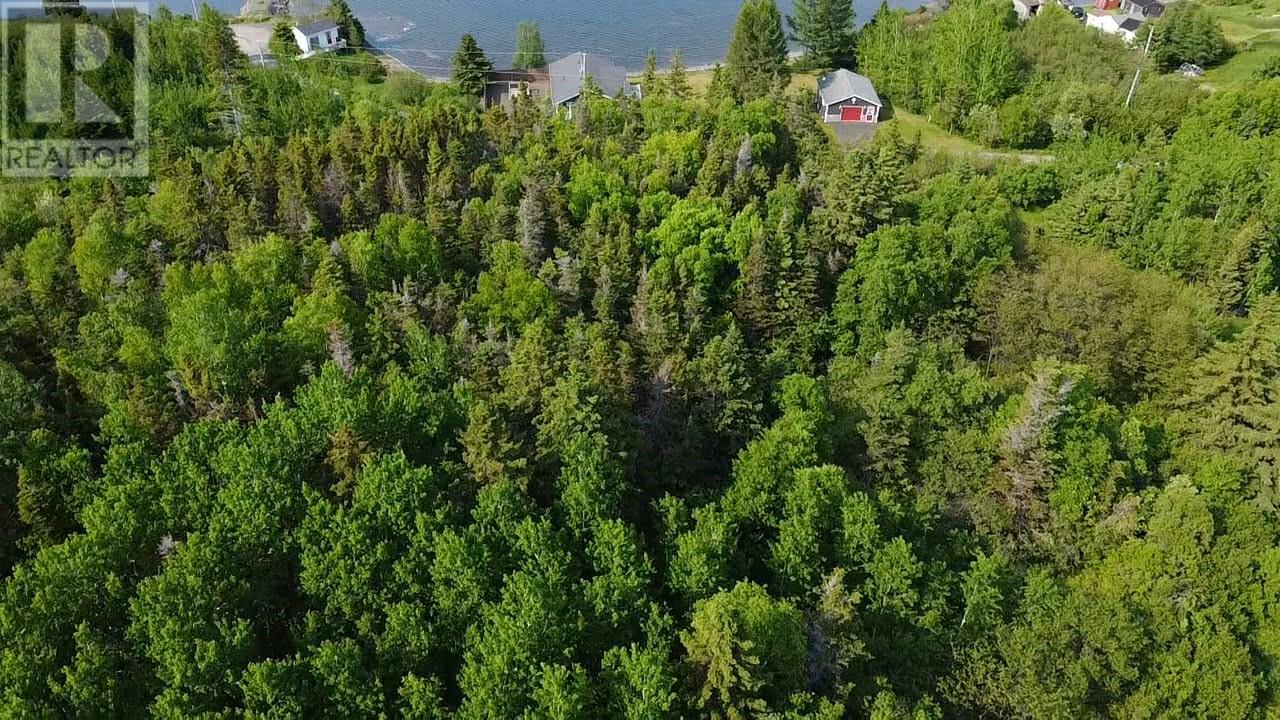13 Burry's Road Property Photo 3