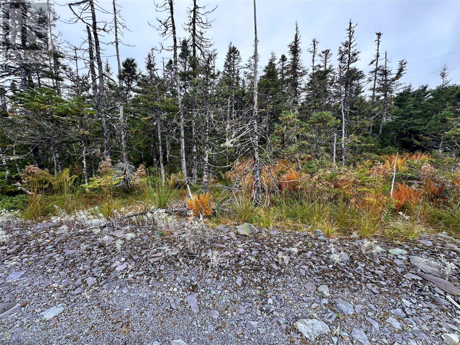 65a Connors Cove Road Property Photo 9