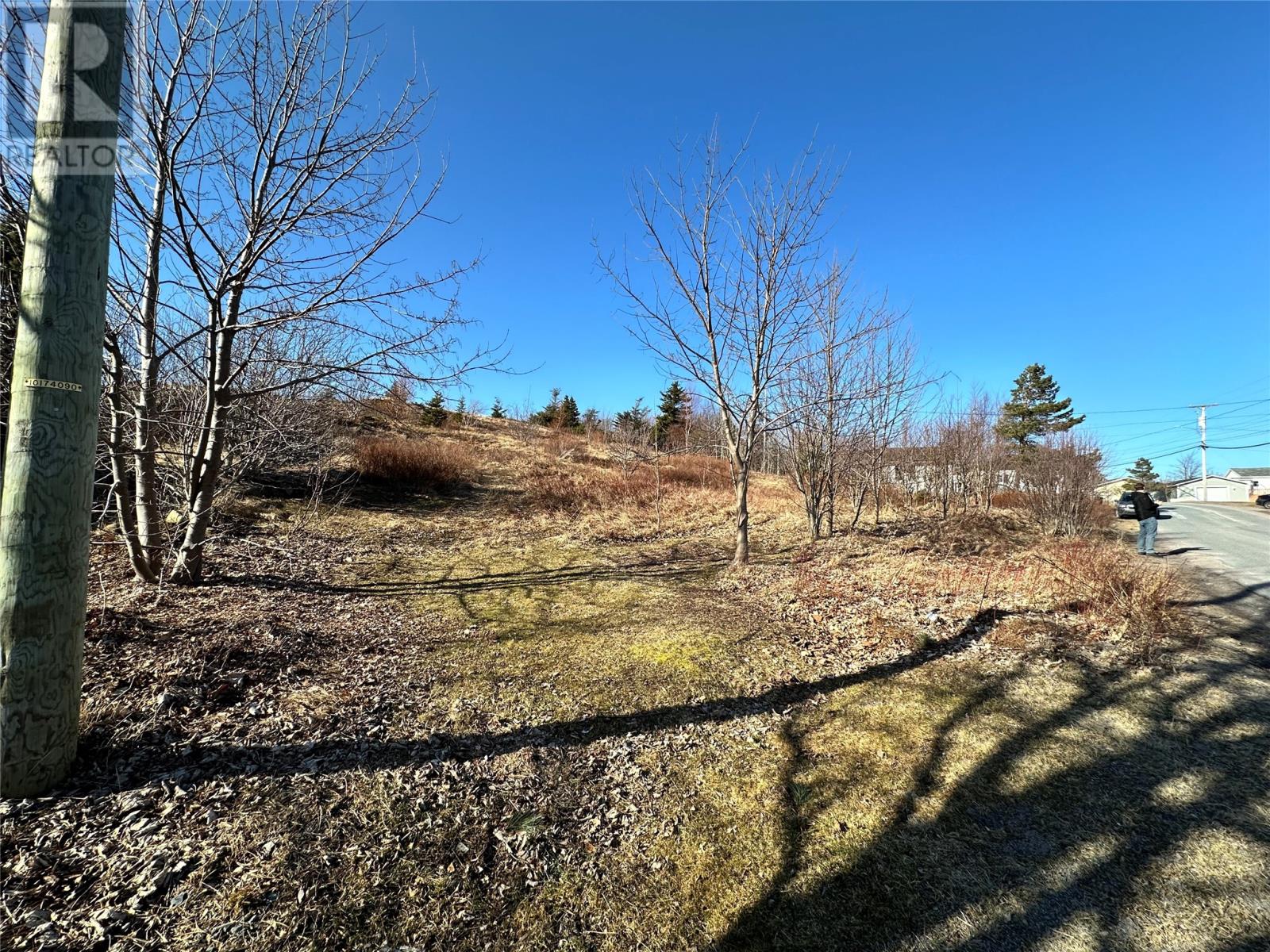 44-48 Back Road Property Photo 7