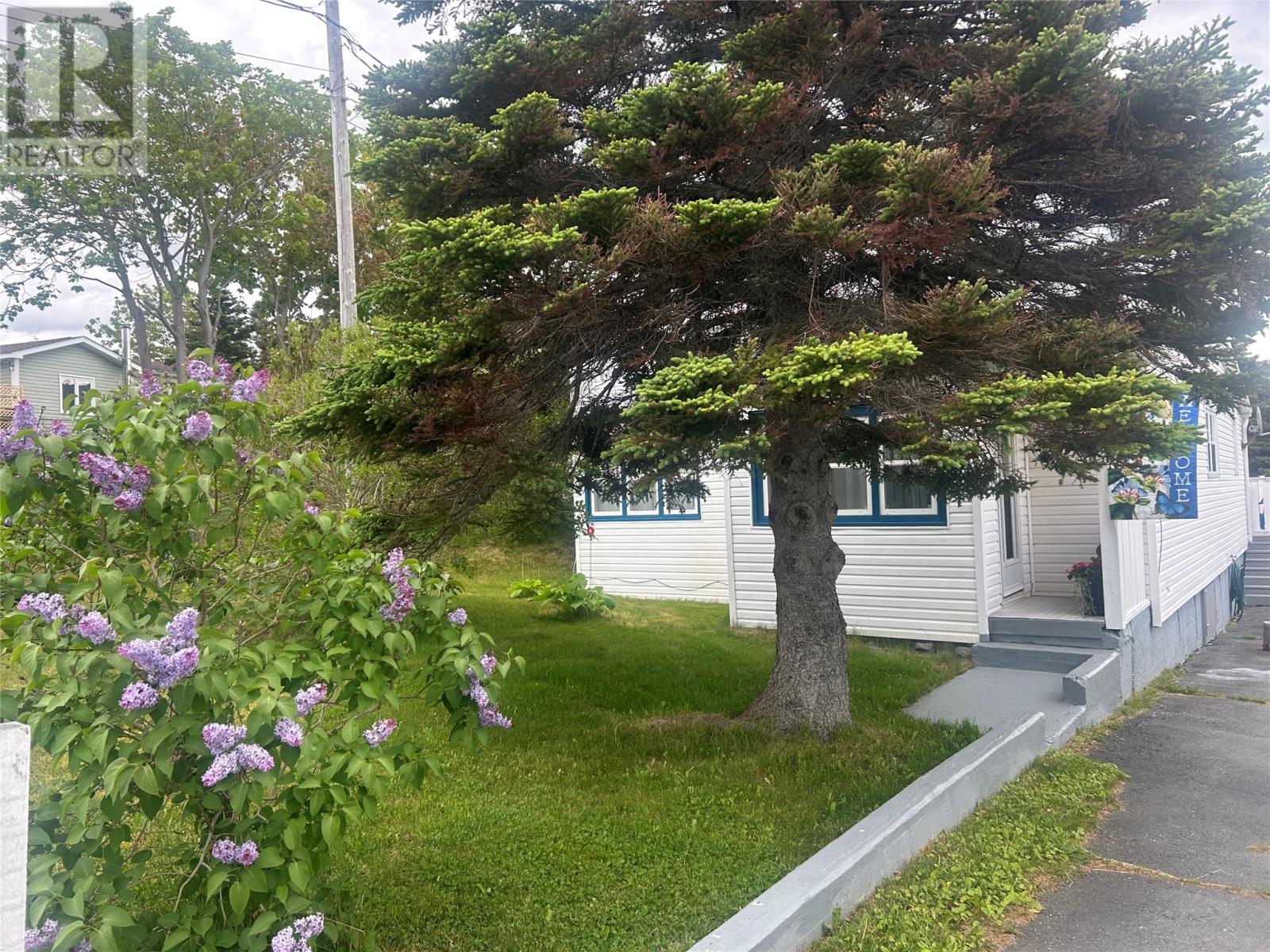 336 Main Road Property Photo 5