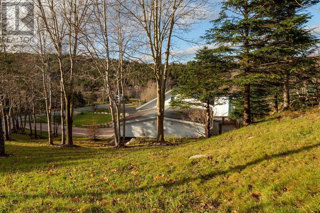 6-10 Conception Bay Highway Property Photo 21