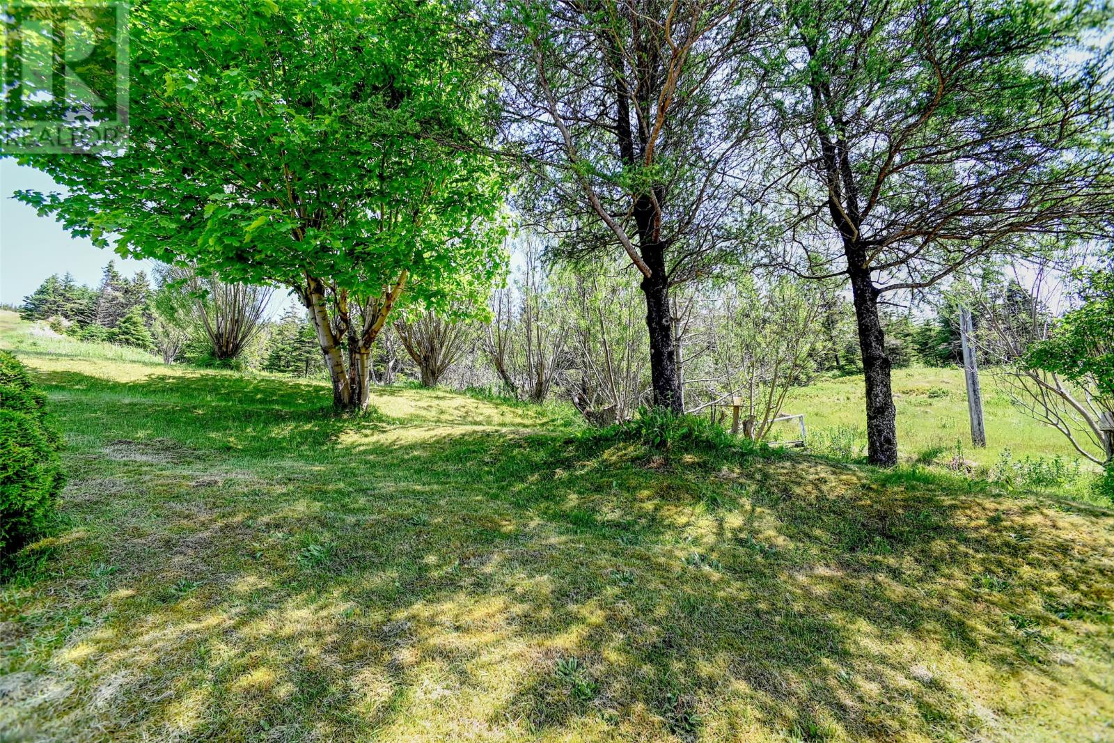 37 Main Road Property Photo 25