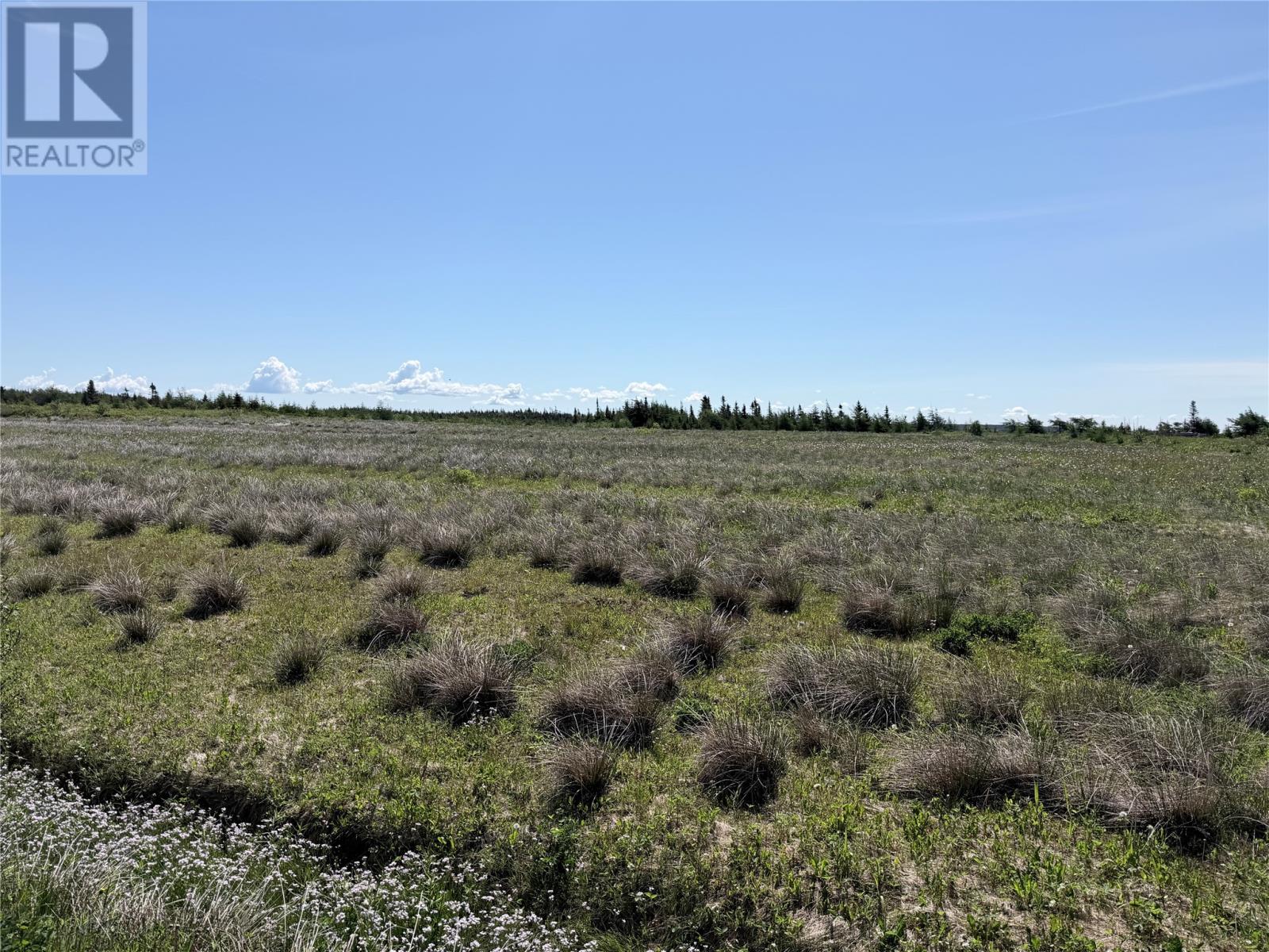 152 Hodgewater Line Property Photo 1