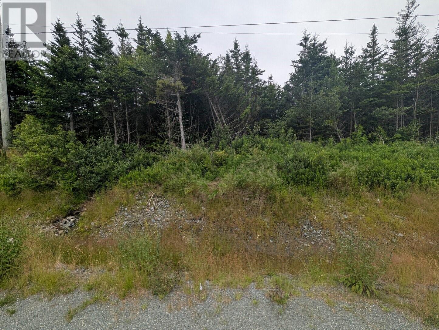 0 Salmonier Line Property Photo 1