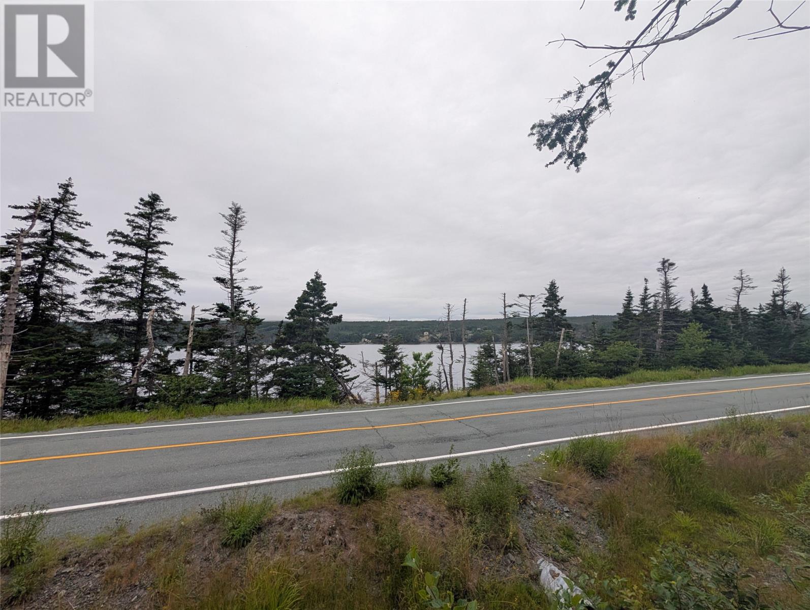 0 Salmonier Line Property Photo 2