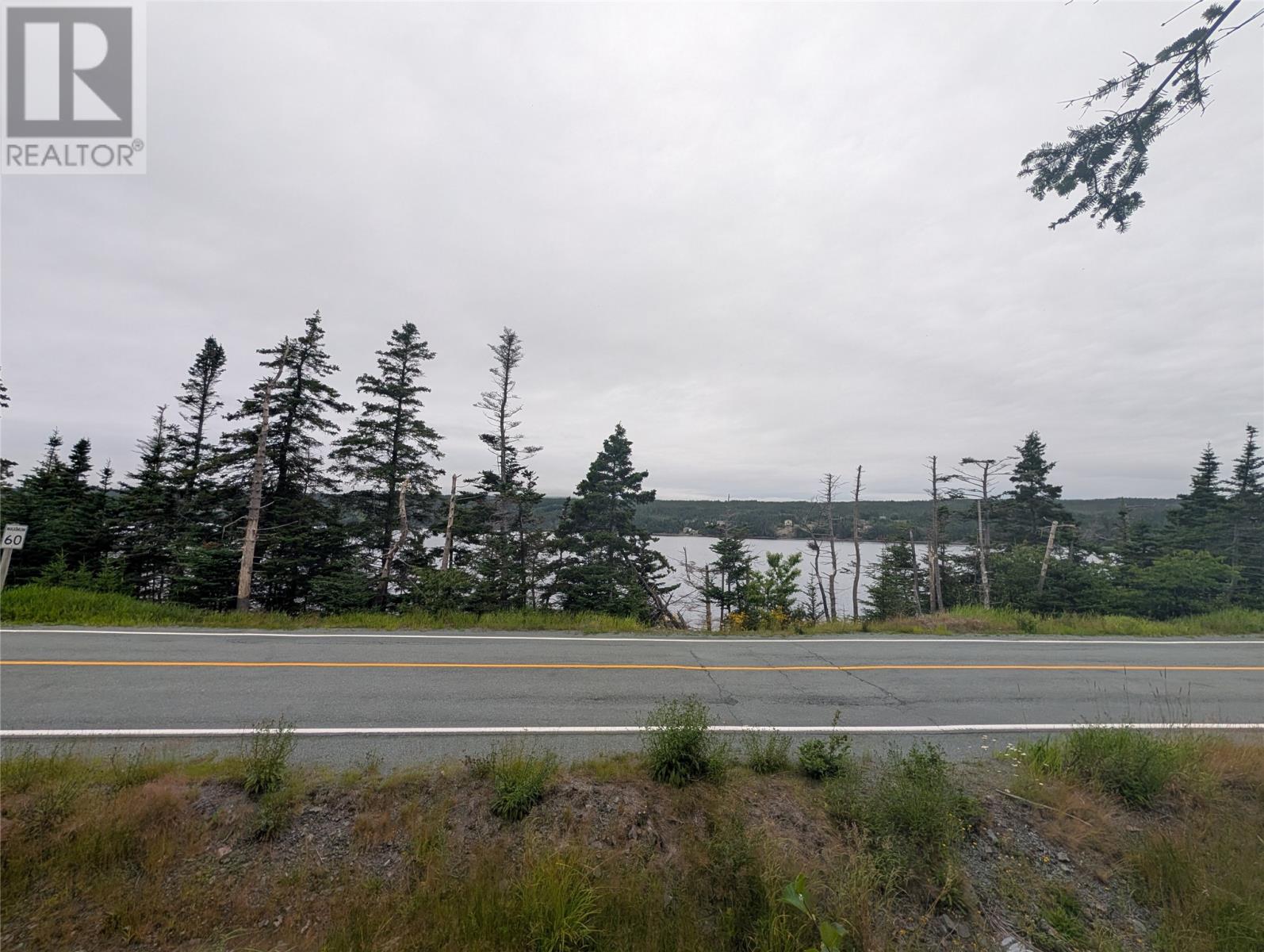 0 Salmonier Line Property Photo 3