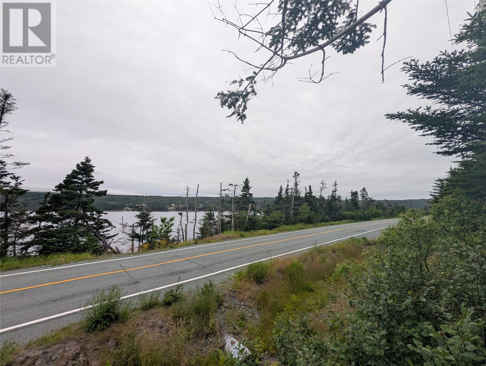 0 Salmonier Line Property Photo 4