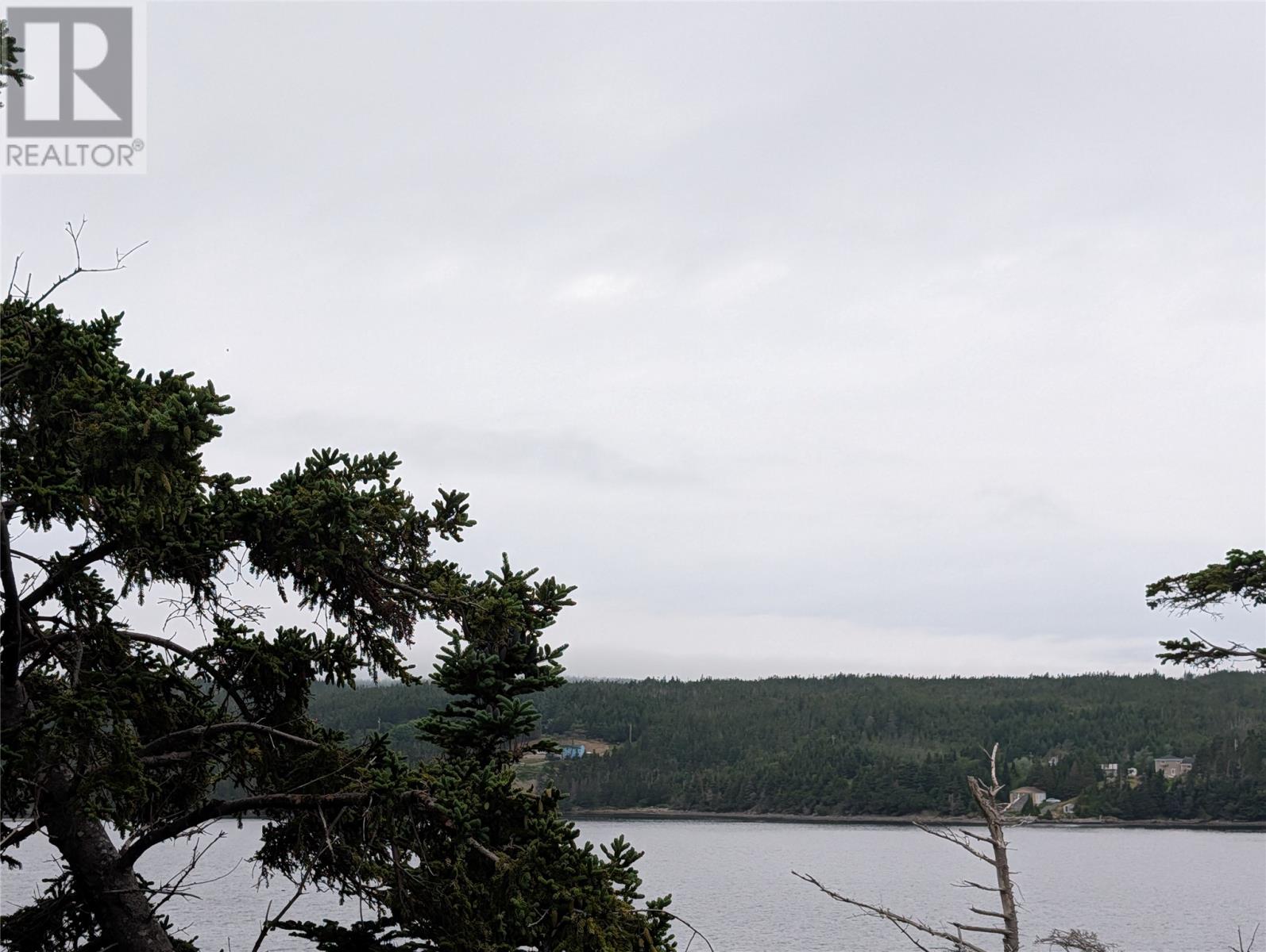 0 Salmonier Line Property Photo 5