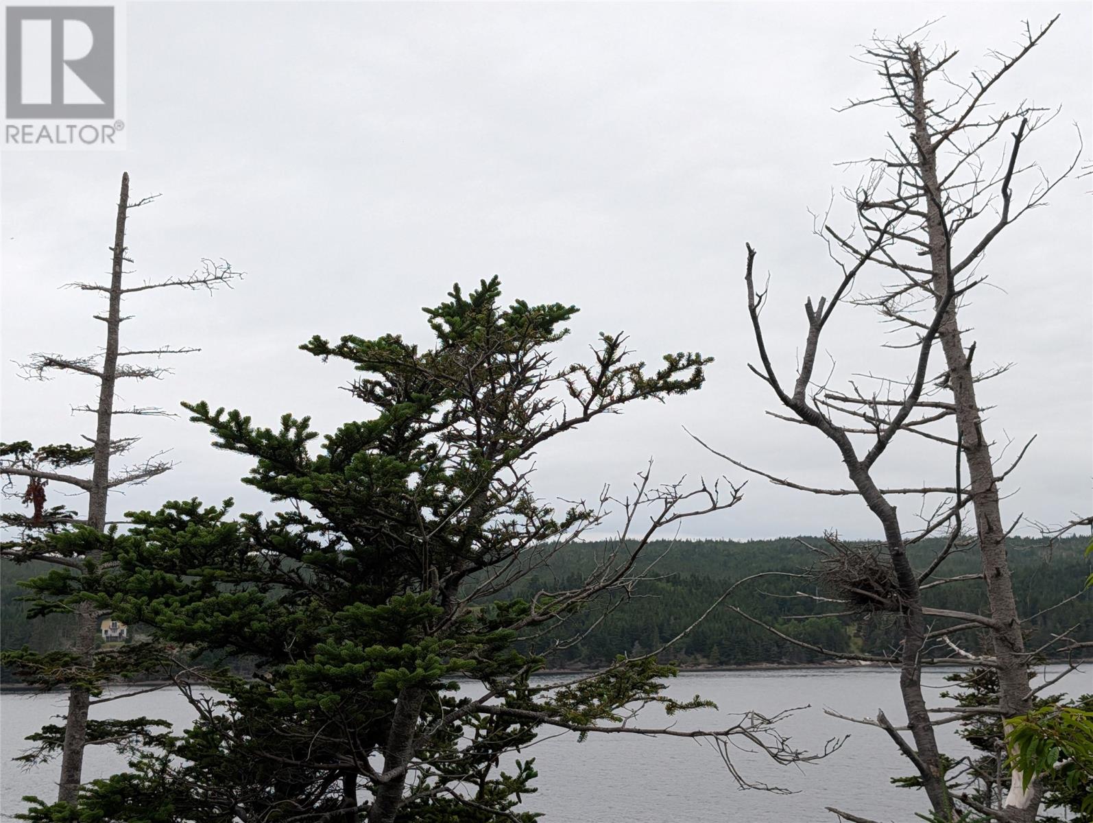 0 Salmonier Line Property Photo 6