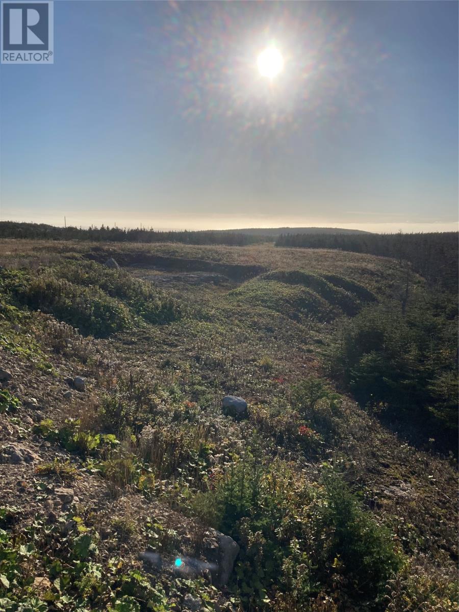 1690 Oceanview Drive Property Photo 4