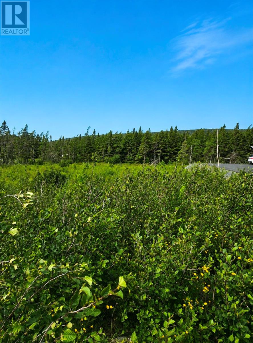 168 Hodgewater Line Property Photo 1